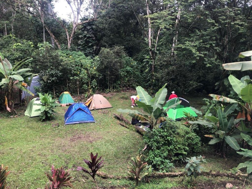Hosteria Arasari Mindo Bagian luar foto